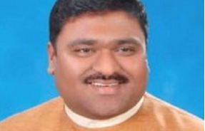 R. Mani Naidu